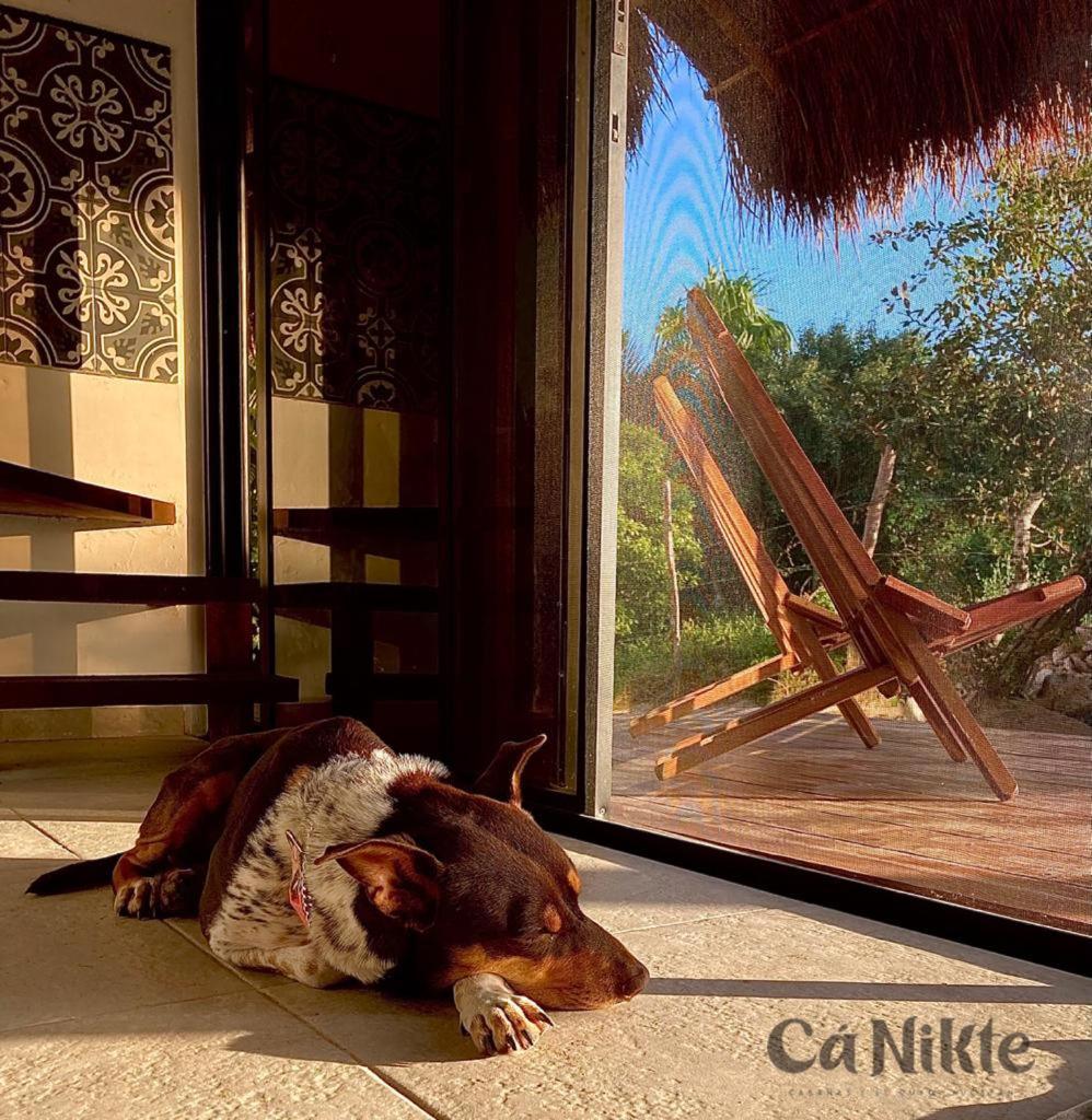 Ca Nikte Cabanas เอลกูโย ภายนอก รูปภาพ